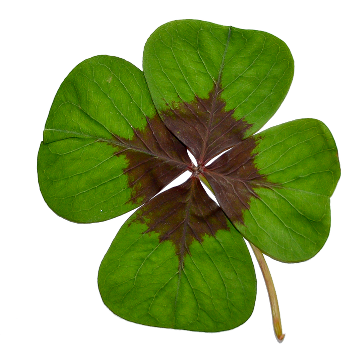 čtyřlístek